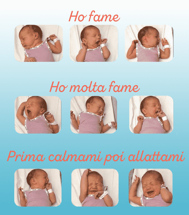 come capire che il bimbo ha fame