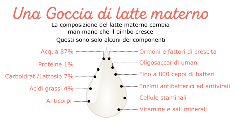 composizione latte materno